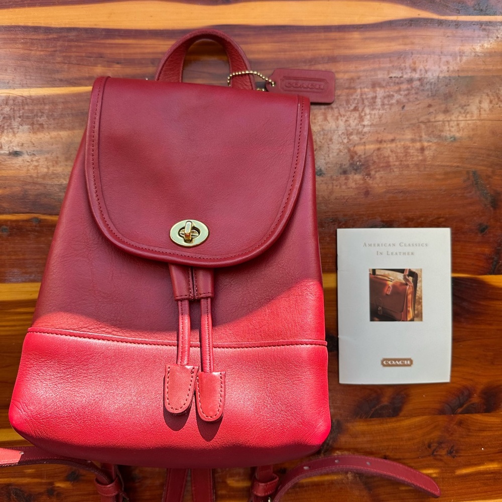 COACH SMALL DAYPACK SMOKING HOME